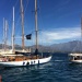 IMG_3726 IMG_3726