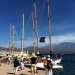 IMG_3729 IMG_3729