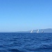 IMG_3875