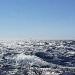 IMG_3947