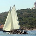 IMG_9810