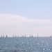 IMG_4204