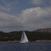 IMG_4215 (4)