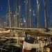 Imperia 2014 Thibaud Assante DR (32)