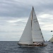 Regates Royales de Cannes photo Thibaud Assante DR (14) - Copie