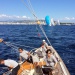 Regates Royales de Cannes photo Thibaud Assante DR (26)