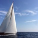 Regates Royales de Cannes photo Thibaud Assante DR (65)