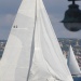 Les VST 2014 photo Thibaud Assante DR (6)
