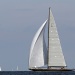 Les VST 2014 photo Thibaud Assante DR (41)