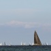 Les VST 2014 photo Thibaud Assante DR (44)