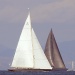 Les VST 2014 photo Thibaud Assante DR (51)
