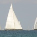 Les VST 2014 photo Thibaud Assante DR (53)