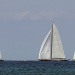Les VST 2014 photo Thibaud Assante DR (54)