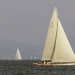 Les VST 2014 photo Thibaud Assante DR (76)