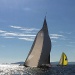 Les VST 2014 photo Thibaud Assante DR (100)