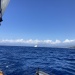 CC 2025 portigliolo propriano samedi 23 08 (14)
