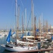 Voiles Antibes 2015 Photo Thibaud Assante SY Scherzo (24)