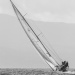 CClassic133-2