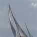 CClassic231