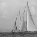 CClassic254