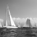 CClassic303-2