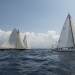 CClassic310
