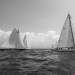 CClassic310-2
