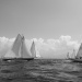 CClassic311-2