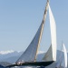CClassic484