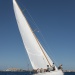 CClassic878