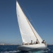 CClassic880