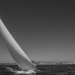 CClassic955-2