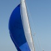CClassic3239