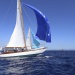 CC 2015 Photo Olivier Mariotti DR (148)
