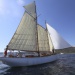 CC 2015 Photo Olivier Mariotti DR (211)