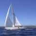CC 2015 Photo Olivier Mariotti DR (233)