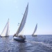 CC 2015 Photo Olivier Mariotti DR (248)