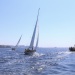 CC 2015 Photo Olivier Mariotti DR (252)