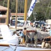 CC 2015 Photo Olivier Mariotti DR (308)