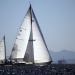 CC 2015 SY Skylark Alain Pistoresi