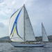 Coupe YCF RR x VST 2015 SY Hilaria Thibaud Assante DR