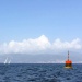 CC 2015 Ajaccio SY Oiseau de Feu