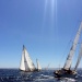 CC 2015 Bonifacio SY Lys SY Skylark