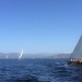 CC 2015 porto pollo bonifacio SY Olympian