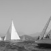 CC2016bd photo Philippe_Pierangeli_DR (24)