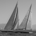 CC2016bd photo Philippe_Pierangeli_DR (27)