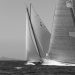 CC2016bd photo Philippe_Pierangeli_DR (33)