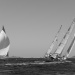 CC2016bd photo Philippe_Pierangeli_DR (35)