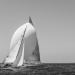 CC2016bd photo Philippe_Pierangeli_DR (37)
