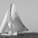 CC2016bd photo Philippe_Pierangeli_DR (42)
